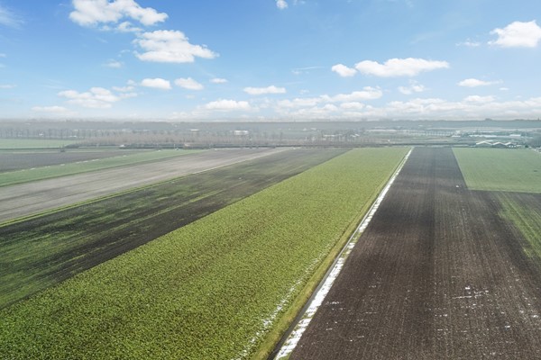 Medium property photo - Kaagweg 69, 2157 LH Abbenes